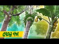   gacho golpo  funny bengali tree cartoon  cakasur funny bangla   