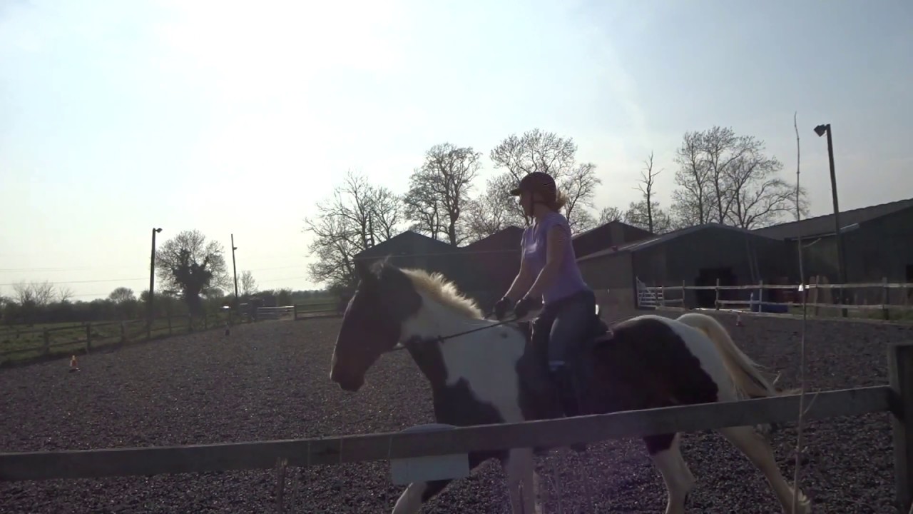 Prelim 14 Dressage Test YouTube Prelim 14 Dressage Test YouTube