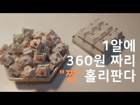 1알에 360원짜리 짭홀리판다 타건영상 (feker holy panda)