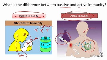 8.11.3 Types of Immunity --Passive v Active