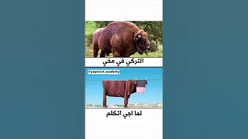 صح تركيا تعلم التركية مع Yaparsın زبيدة شبيب تعلم اللغة التركية تركي عبارات Turkey 