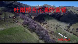 106 0415吐爾根杏花溝的黃昏