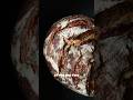 SOURDOUGH WITH 100% ALL-PURPOSE FLOUR #sourdough #sourdoughbread #sourdoughjourney #allpurposeflour