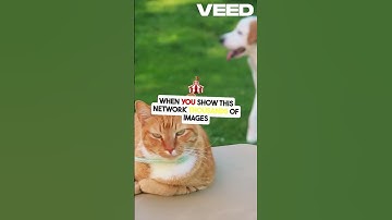 🧠 Unlocking Deep Learning: How Machines Think! 🤖💭