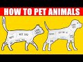 How to Pet Dogs, Cats and Animals