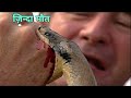 ये 8 मिनट का वीडियो आपकी ज़िन्दगी बचा सकता है  How to save from snake bite !! earth Adventure6