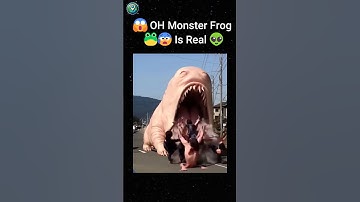 😱😶‍🌫️🐸 I Found A Very Bad Frog In Google maps #trending #shorts #frog #scary #map