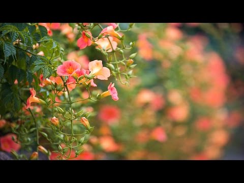 definition art visual form UHD 21 ì¬ì§ì¬íã[4K] ë¥ìíìê³ì  11 2016