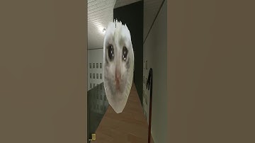 Sad Cat -  Nextbot 😺 ¡¡¡  (Gmod)