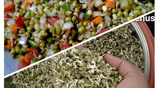 Sprouts Salad Recipe in Tamil/முளைகட்டிய பயிறு சாலட் /How to make sprout At Home/Healthy diet recipe