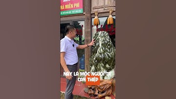 Khám Phá Không Gian Văn Hóa Đặc Sắc | Chợ 5000 Bản Rốc