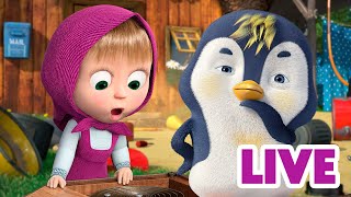 ماشا والدب 👱‍♀️ LIVE STREAM! 🎮🏠 المنزل الذكي 🎮🏠 Masha and the Bear