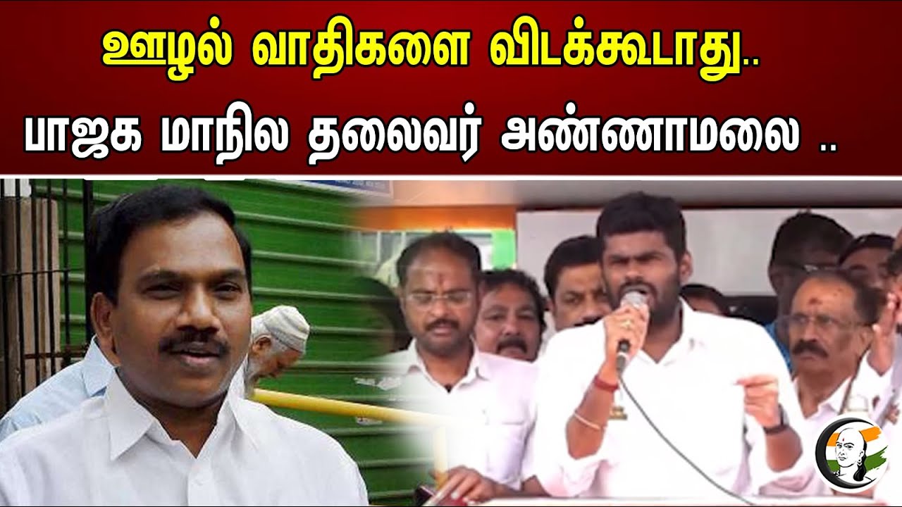 ஊழல் வாதிகளை விடக்கூடாது.. பாஜக மாநில தலைவர் அண்ணாமலை.. | Annamalai | BJP | DMK