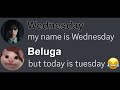 When Beluga meets Wednesday... (FULL STORY)