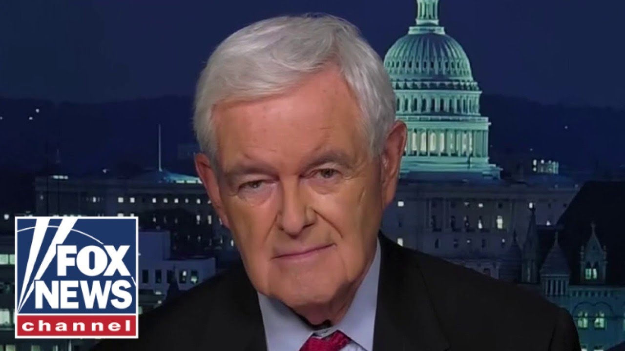 ⁣Newt Gingrich: The totalitarian left is playing with fire