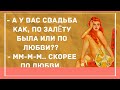 Свадьба по залёту. Сборник Веселых анекдотов для Настроения! Смешные анекдоты!