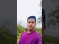 deewani Main deewani 🌳❤🌹💖#hindi_song#love_song #short_video #shoot_video
