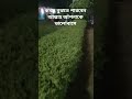 আল্লাহ এর ভালোবাসা #deen #islamicknowledge #সব #abutohamohammadadnan #new #waj #shorts #youtube