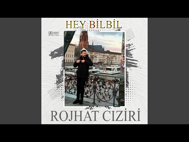 Hey Bilbil