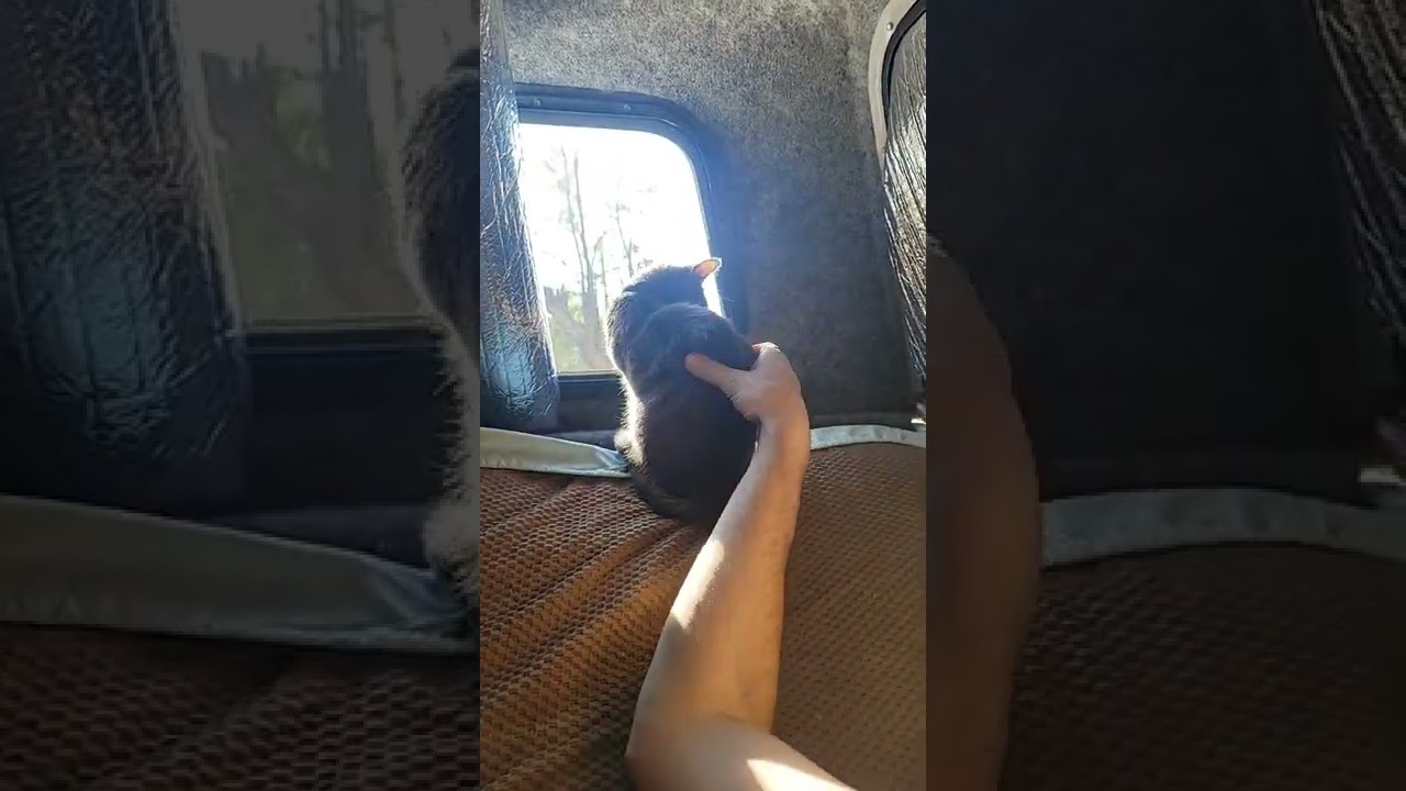 Baby Zooma rise and shine ready for momma