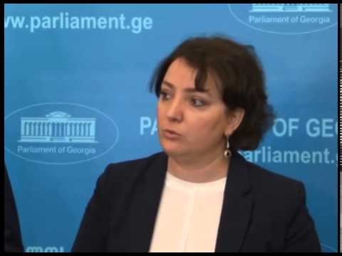 თინათინ ხიდაშელის კომენტარი გერმანიის ბუნდესტაგის წევრებთან შეხვედრის შესახებ