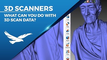 What Can You do With a 3D Scan?