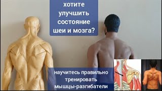 Шея Деградирует, Мозг Стареет, Когда Слабеют И  Атрофируются Ромбовидные Мышцы. 2 Упражнения