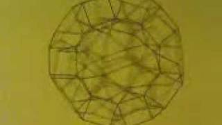 transformation grid