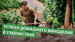 Успехи домашнего виноделия в Узбекистане