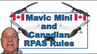 How Do the DJI Mavic Mini and Mini 2 Fly Within Canadian RPAS Rules? screenshot 2