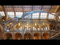 Natural history museum london  walkthrough tour july 2019  4k