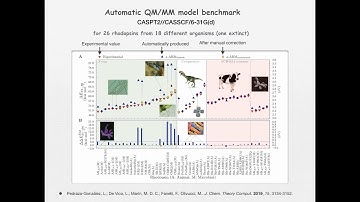 Recent Progress in QM/MM: Lectured by Dr. Massimo Olivucci