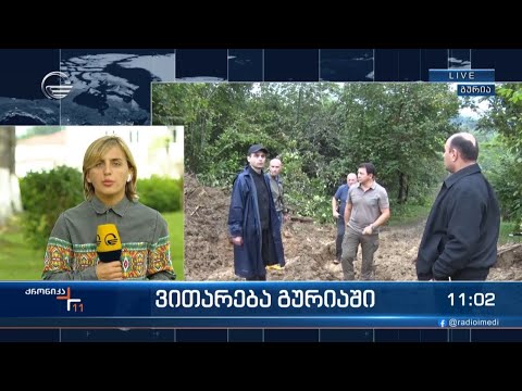 ვითარება გურიაში