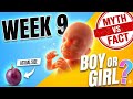 Week 9 Pregnancy | Baby Size &amp; Development | Symptoms, Myths &amp; Facts | First Trimester | 3rd Month