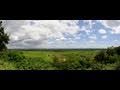 Aussicht vom Pfalzblick auf die Weinberge an der Deutschen Weinstraße - GoPro Video