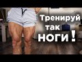 Тренировка НОГ с СОБСТВЕННЫМ весом!