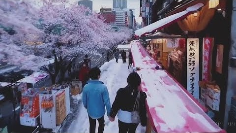 Artificial intelligence company OpenAI expands the creation of text into videos