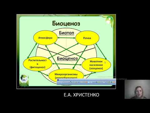 11 класс, занятие 09.04.2020 биогеоценоз