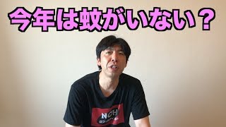 今年は蚊がいない？