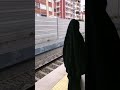 ام العباية