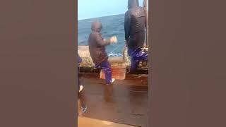 Praktek Bali narik ikan kapal Rijek (longline)