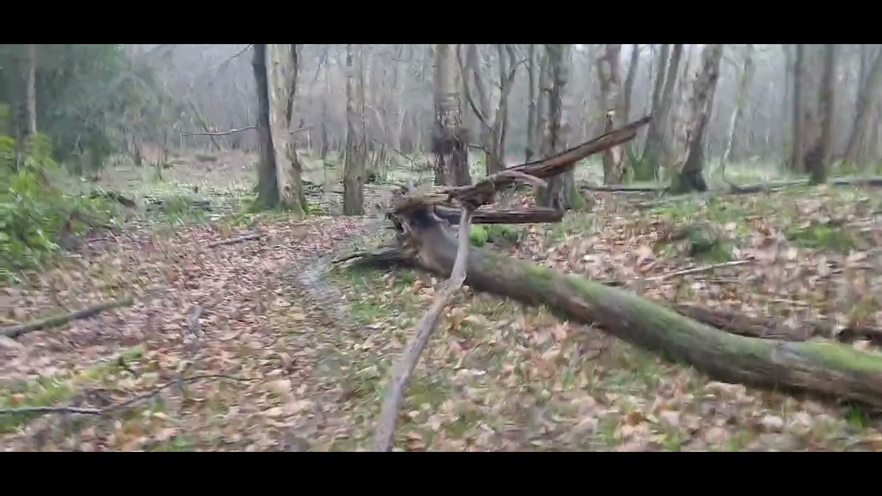 Mountfield East Sussex this morning,  raining  and cool.