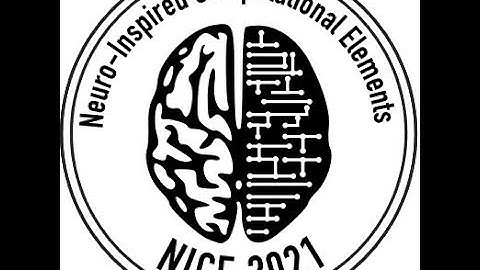 NICE 2021   Day 3d Wolfgang Maass