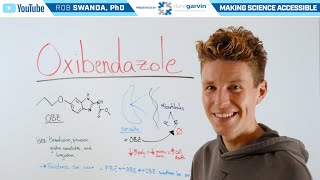 How does Oxibendazole Work?