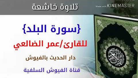 تلاوة طيبة: سورة البلد: للقارئ/ عمر الضالعي / امام دار الحديث بالفيوش - حرسها الله