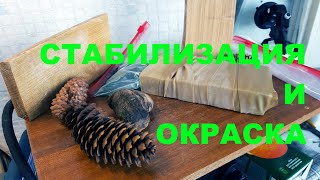 Стабилизация и окраска вяза. Экономная стабилизация древесины.