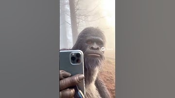 Sora 2 Just Broke the Internet! 😂 (Funniest AI Videos Ever) ⭐