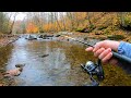 SPINNER Fishing for BIG Trout! (AWESOME UNDERWATER FOOTAGE!!)