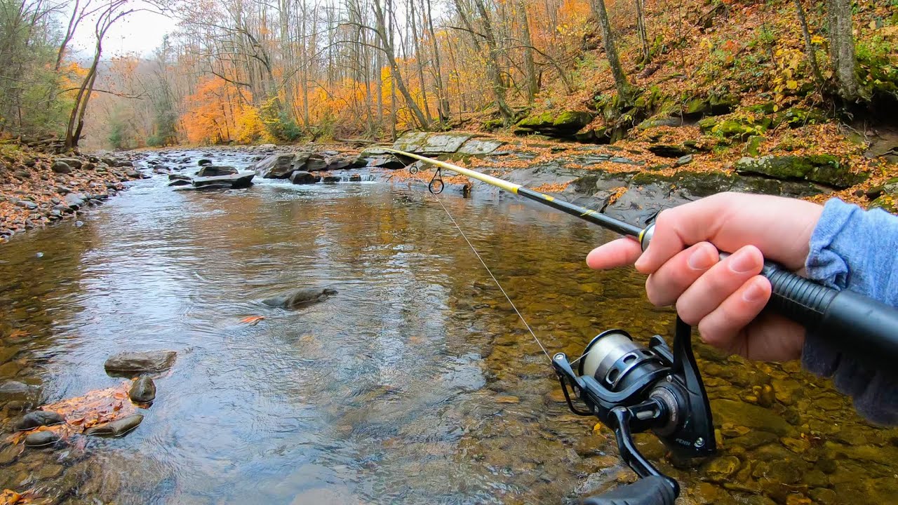 SPINNER Fishing for BIG Trout! (AWESOME UNDERWATER FOOTAGE!!) 