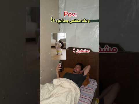 وين مختفي وما بترد ؟!
